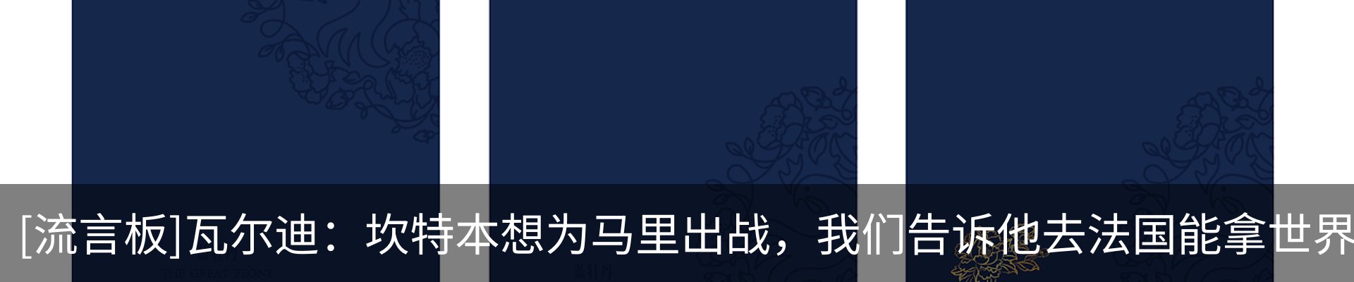 新闻动态